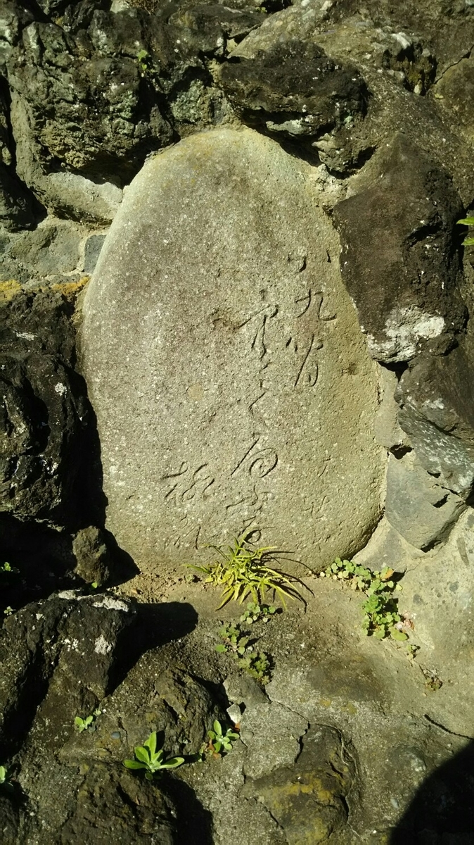 f:id:shiraike:20201221024514j:plain