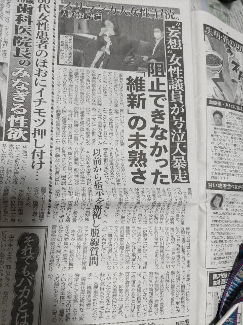 f:id:shiraike:20230523050701j:image