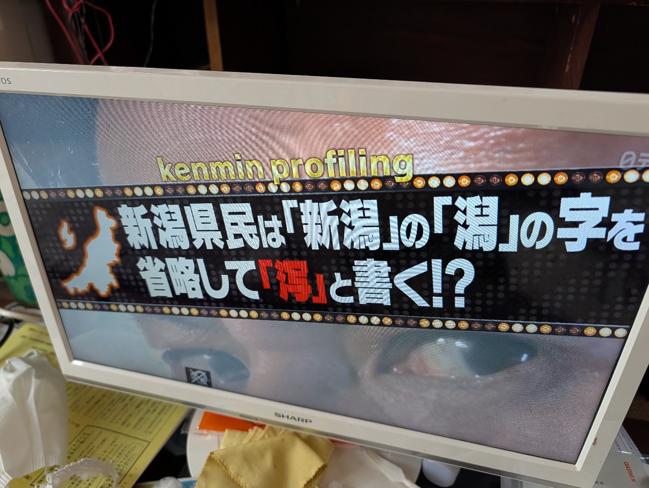 f:id:shiraike:20260208113239j:image