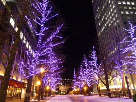 f:id:shirakinozomi:20151220184600j:image f:id:shirakinozomi:20151220184600j:image