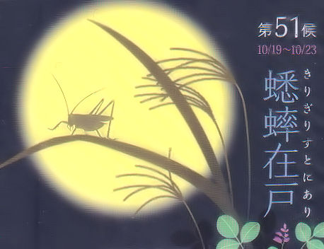 蟋蟀在戸 - しらこばとWeblog