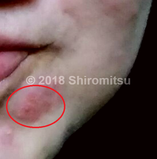 f:id:shiramitsu:20180424012657p:plain f:id:shiramitsu:20180424012657p:plain