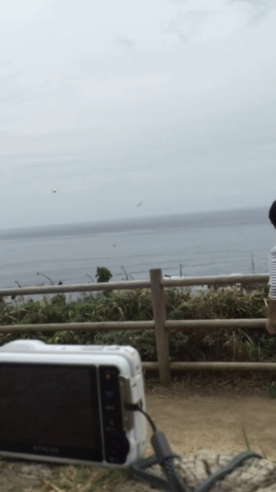 f:id:shirasabakun:20170928233506g:plain
