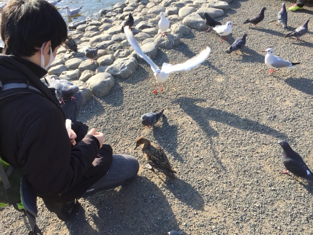 f:id:shirasabakun:20180728182741j:plain