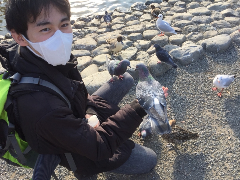 f:id:shirasabakun:20180728182959j:plain