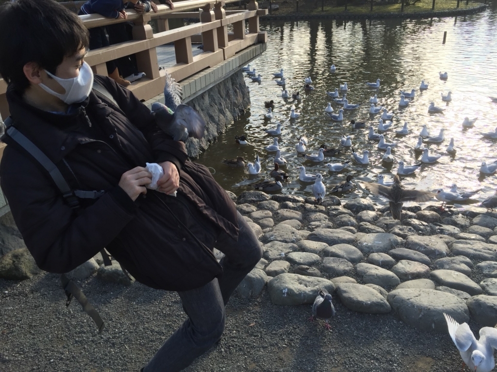 f:id:shirasabakun:20180728183332j:plain
