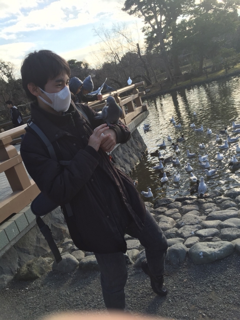 f:id:shirasabakun:20180728183359j:plain