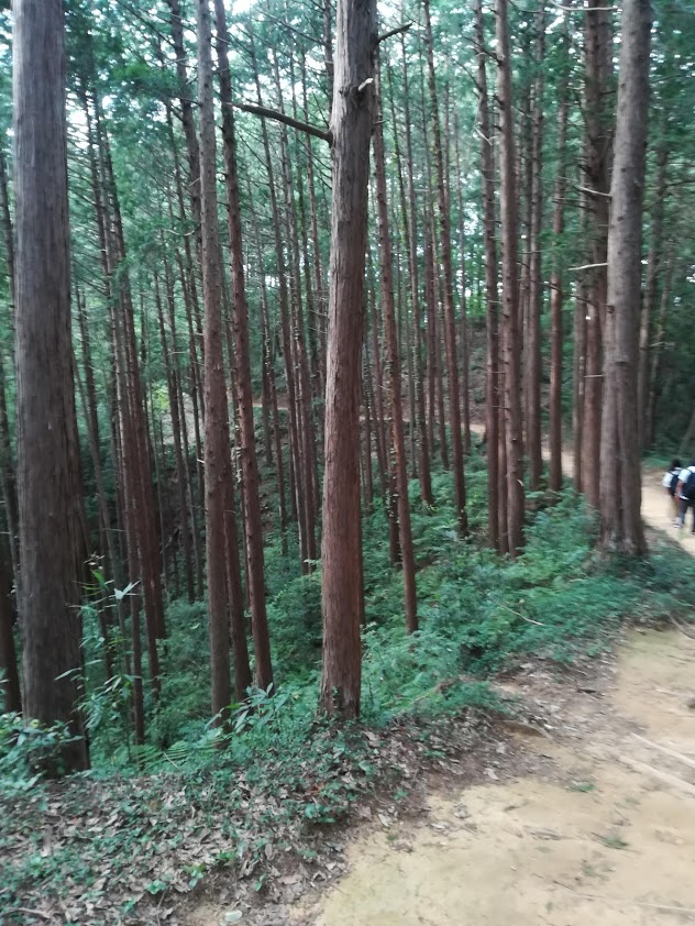 f:id:shirasubo6:20181006130826j:plain