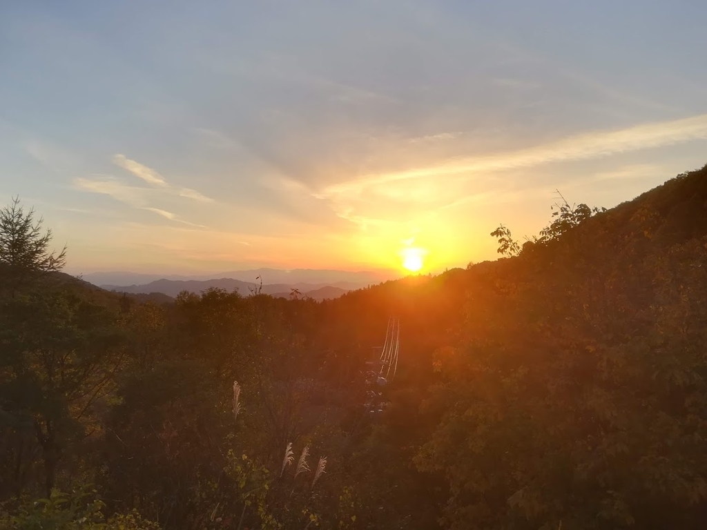 f:id:shirasubo6:20181114232124j:plain