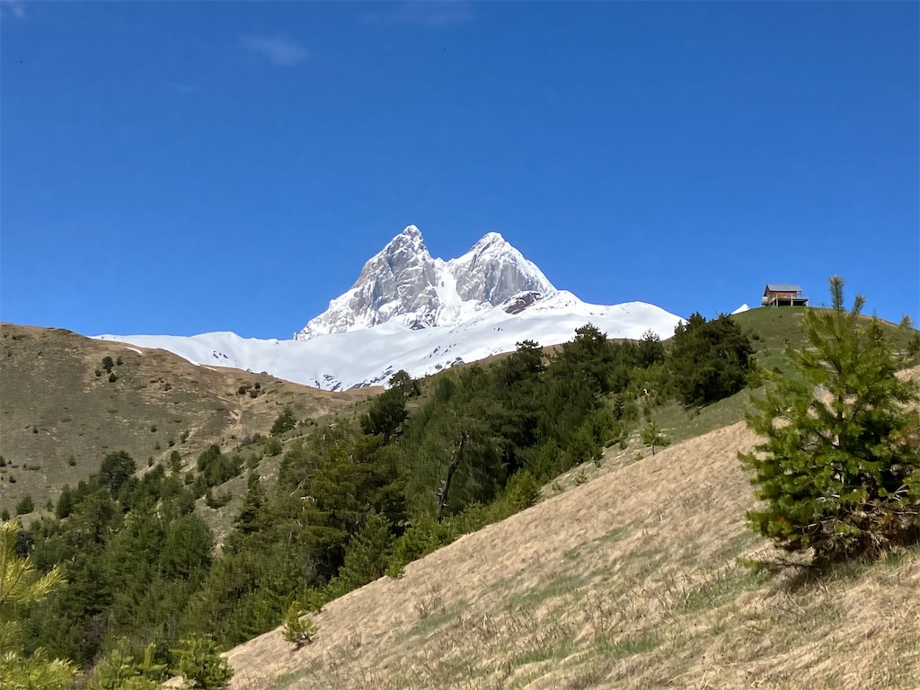 f:id:shirat0ri:20230527223705j:image f:id:shirat0ri:20230527223705j:image