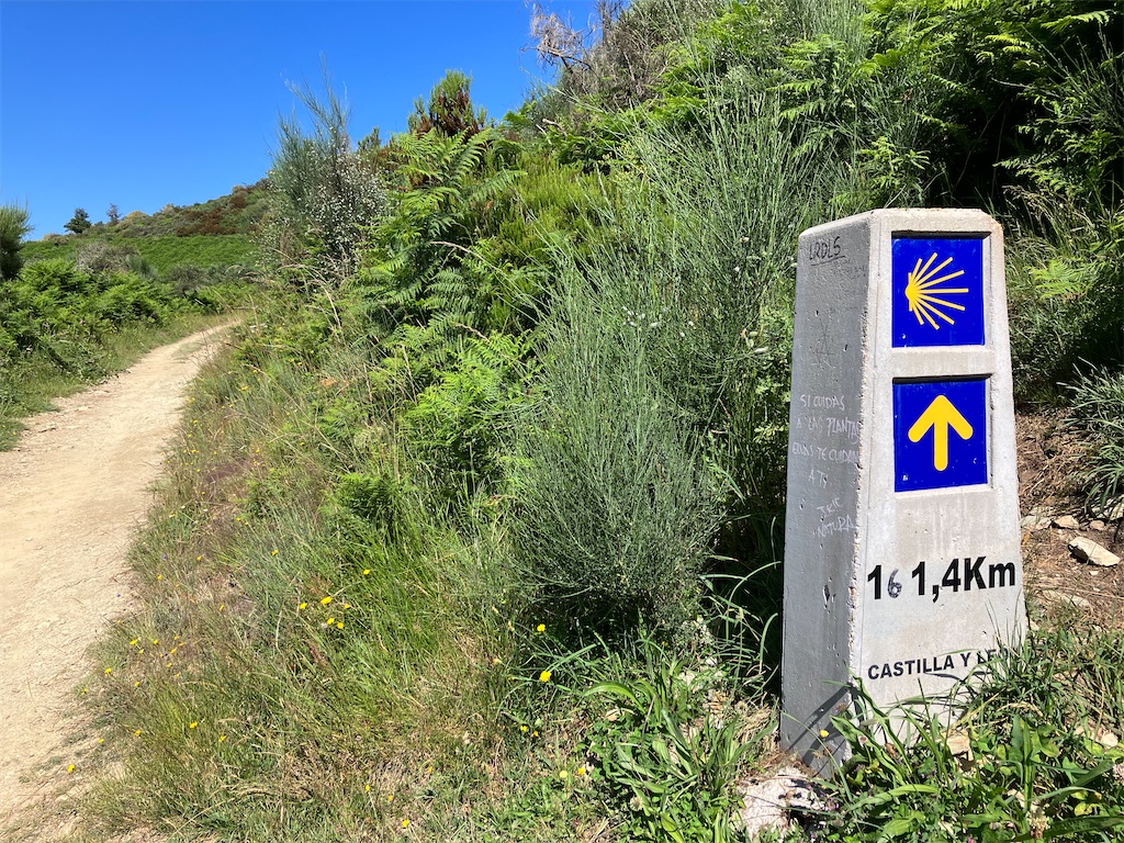 f:id:shirat0ri:20230703042257j:image