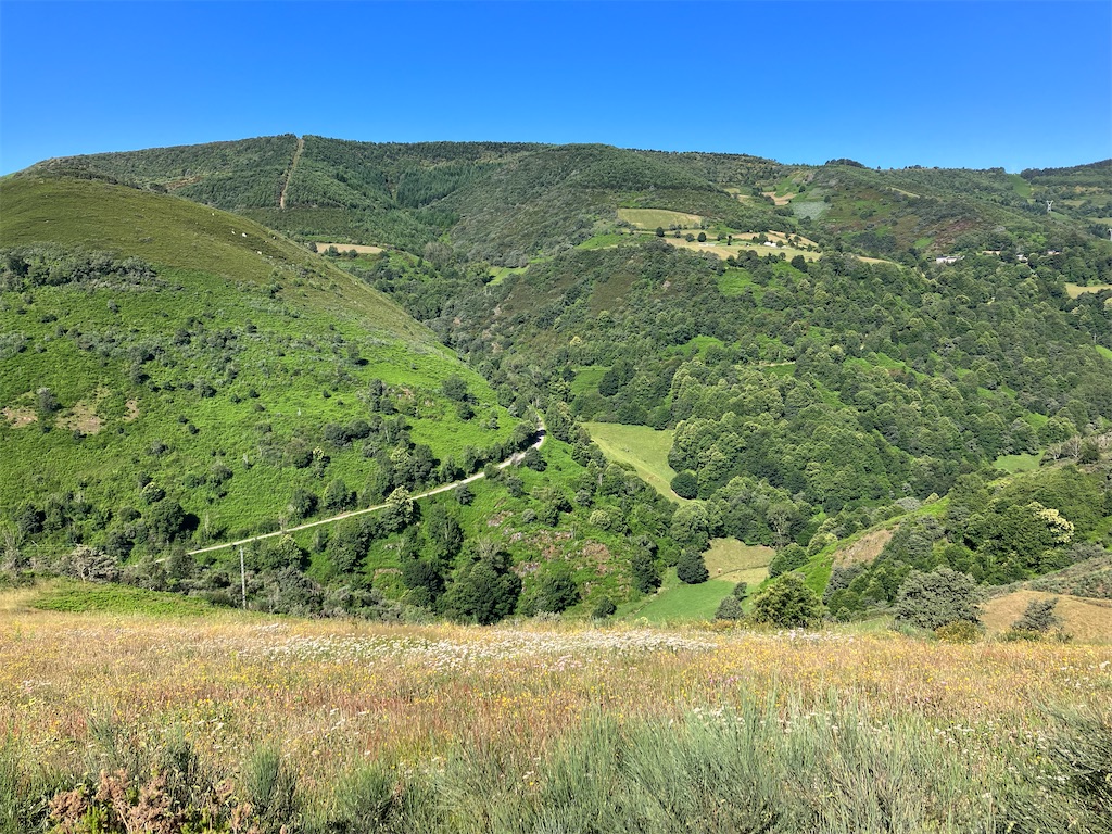 f:id:shirat0ri:20230703042310j:image