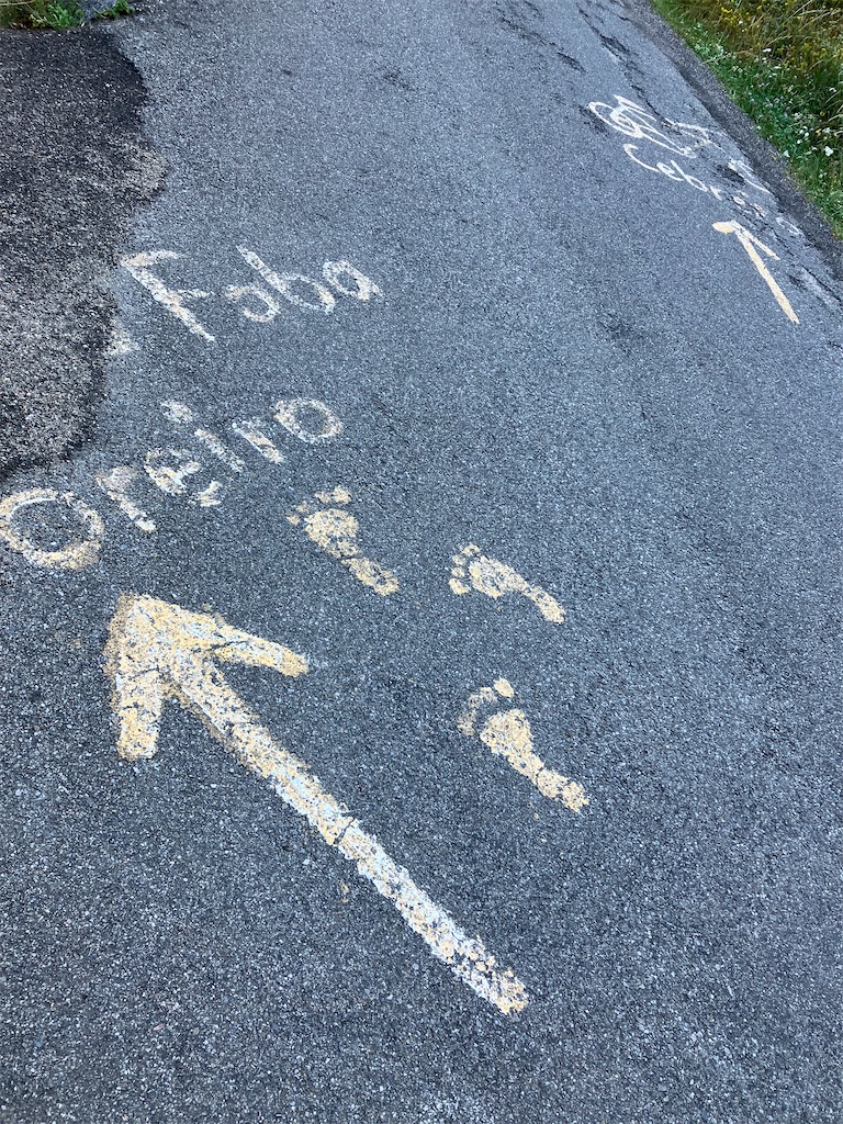 f:id:shirat0ri:20230703042314j:image