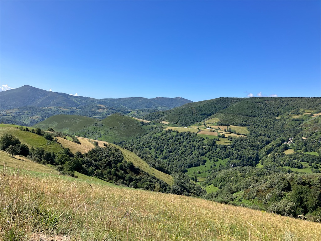 f:id:shirat0ri:20230703042323j:image