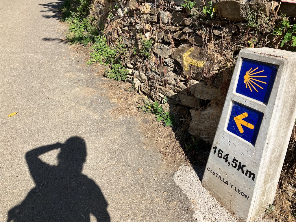 f:id:shirat0ri:20230703042327j:image