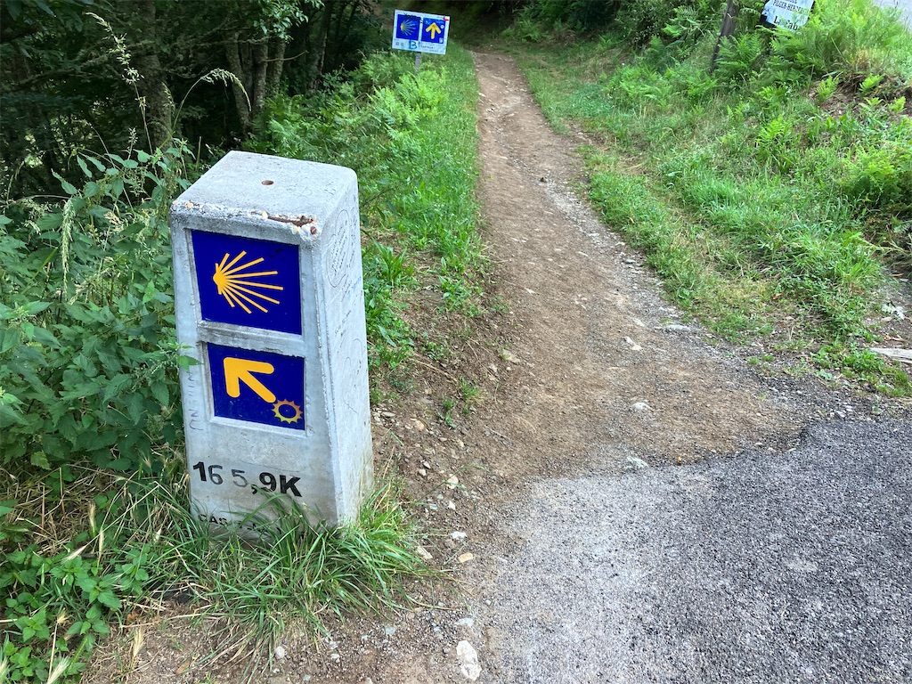 f:id:shirat0ri:20230703042336j:image