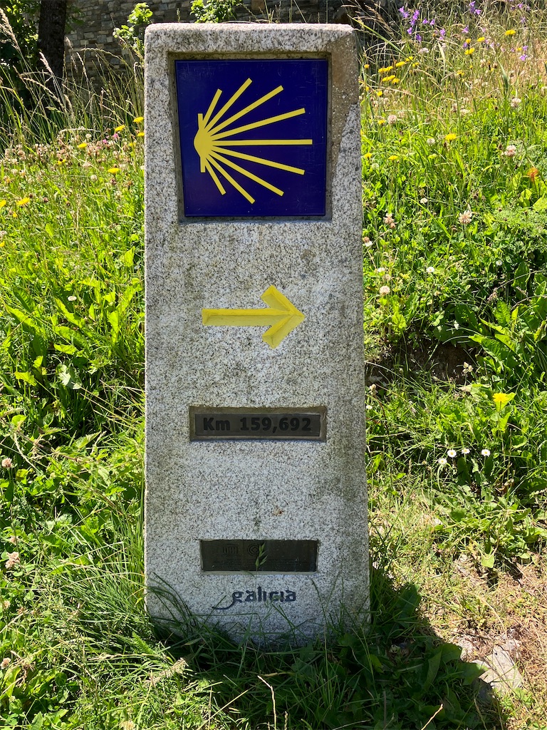 f:id:shirat0ri:20230703044245j:image