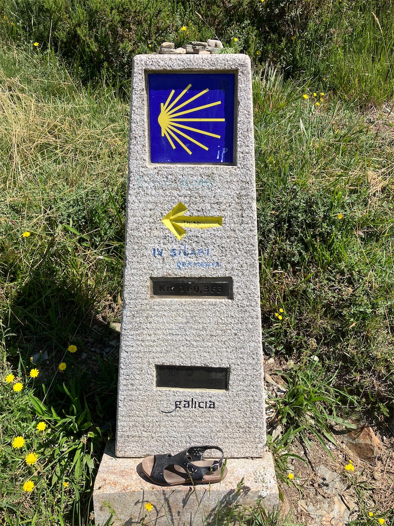 f:id:shirat0ri:20230703044250j:image