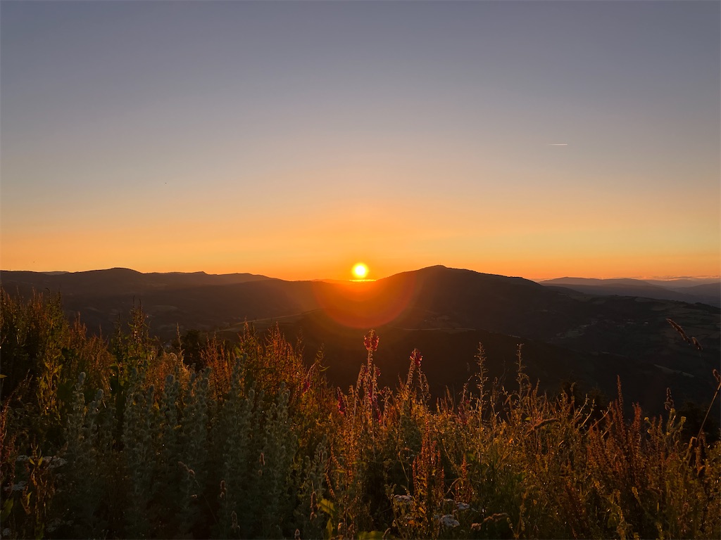 f:id:shirat0ri:20230703051307j:image