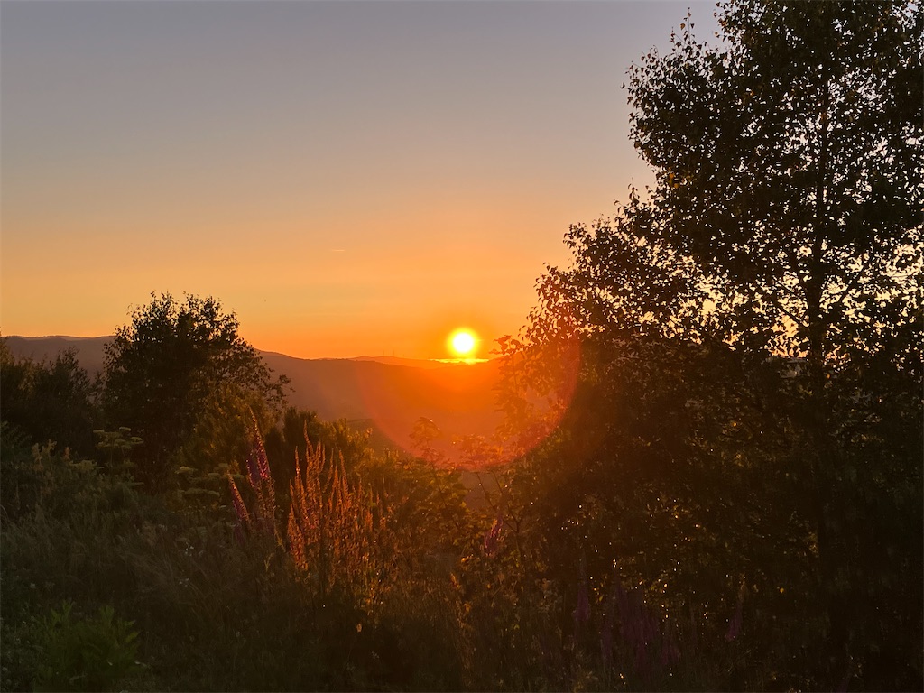 f:id:shirat0ri:20230703051843j:image