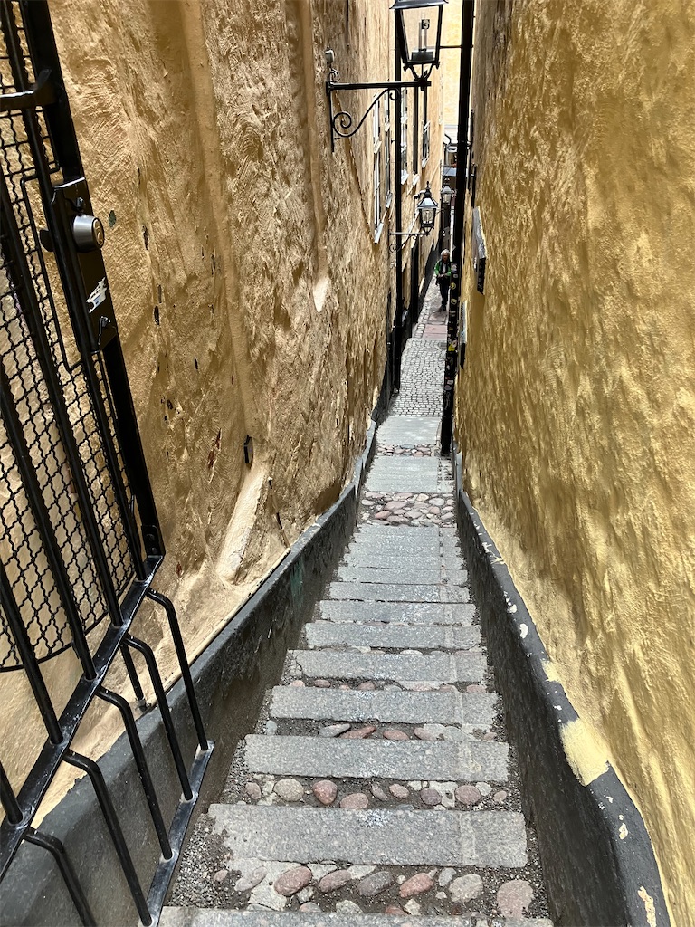 f:id:shirat0ri:20230818180139j:image f:id:shirat0ri:20230818180139j:image