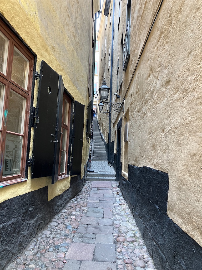 f:id:shirat0ri:20230907044256j:image f:id:shirat0ri:20230907044256j:image