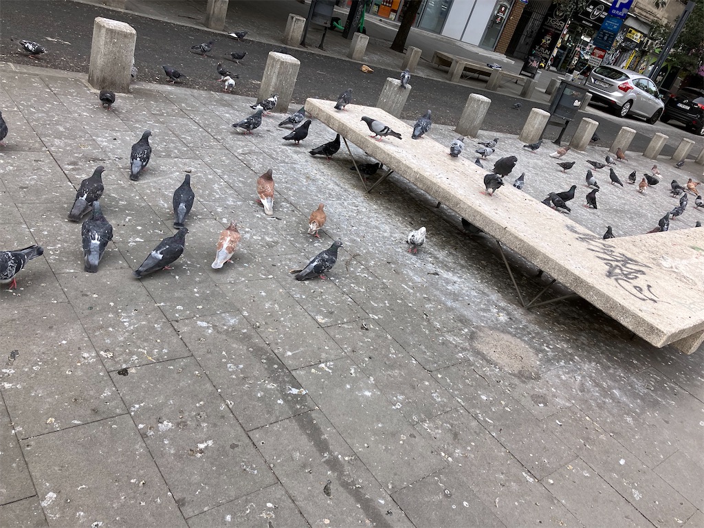 f:id:shirat0ri:20230910205045j:image f:id:shirat0ri:20230910205045j:image