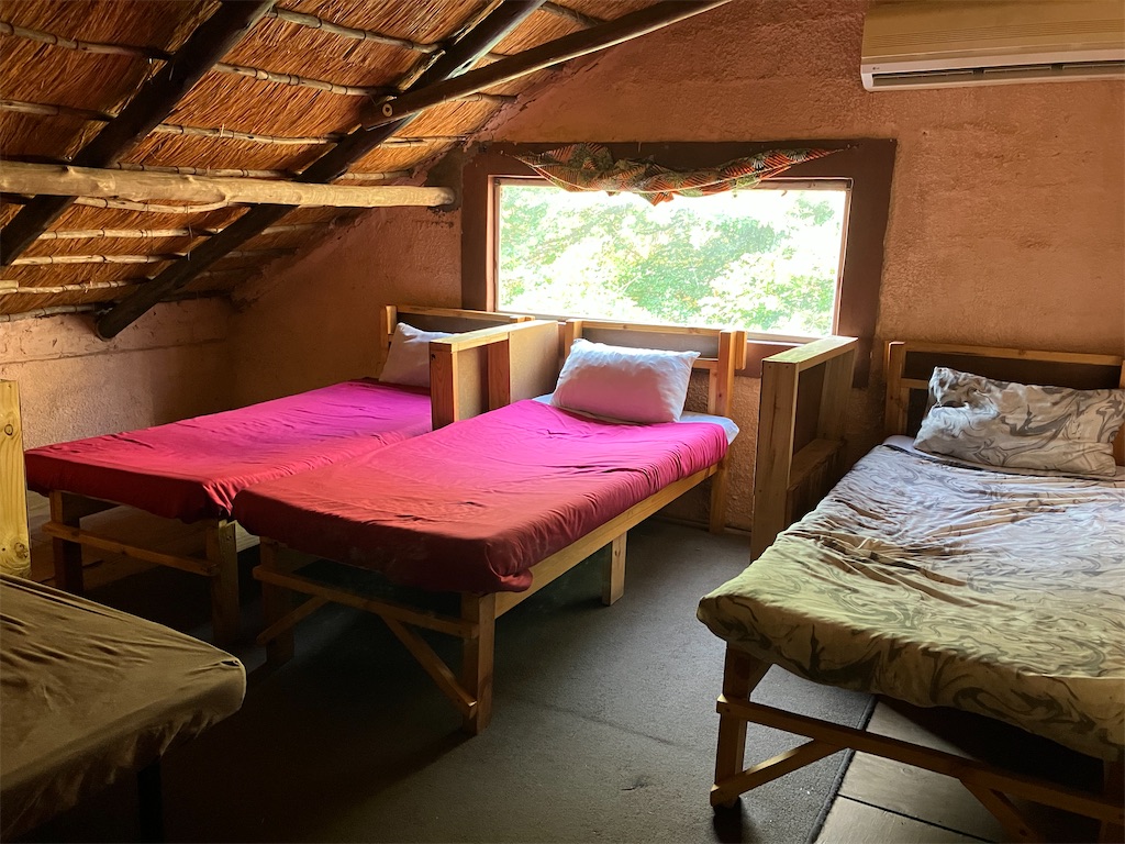 f:id:shirat0ri:20231106130121j:image f:id:shirat0ri:20231106130121j:image