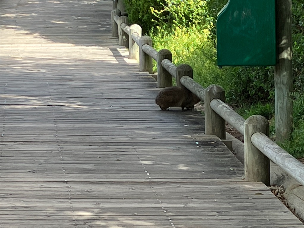 f:id:shirat0ri:20231110110751j:image