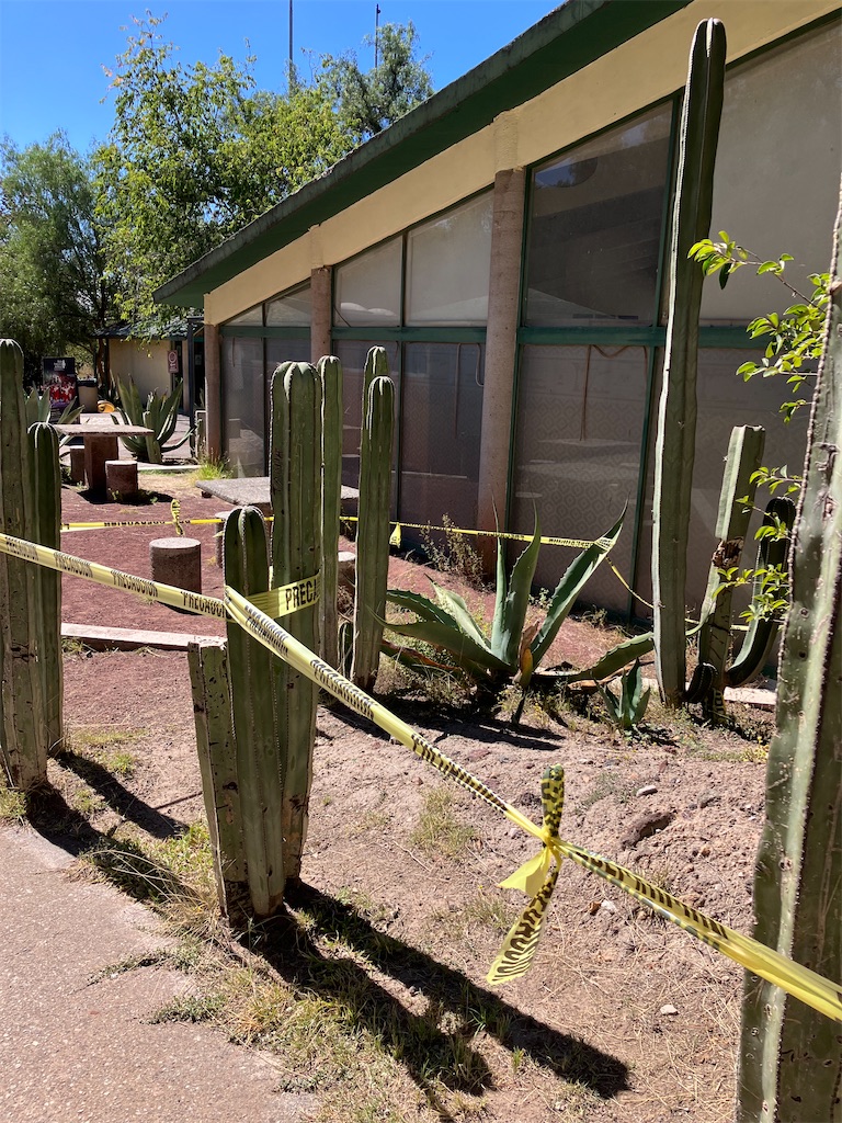 f:id:shirat0ri:20231116105127j:image f:id:shirat0ri:20231116105127j:image