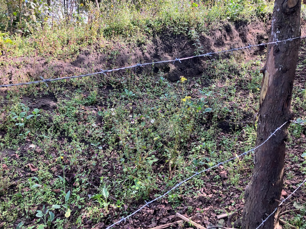 f:id:shirat0ri:20231231080153j:image f:id:shirat0ri:20231231080153j:image