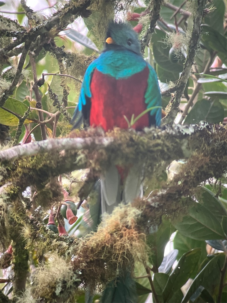 f:id:shirat0ri:20240125124607j:image f:id:shirat0ri:20240125124607j:image