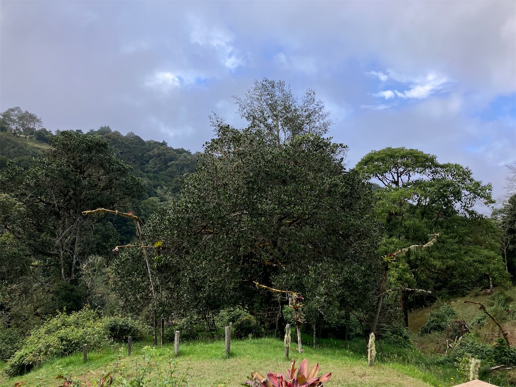 f:id:shirat0ri:20240125124618j:image f:id:shirat0ri:20240125124618j:image