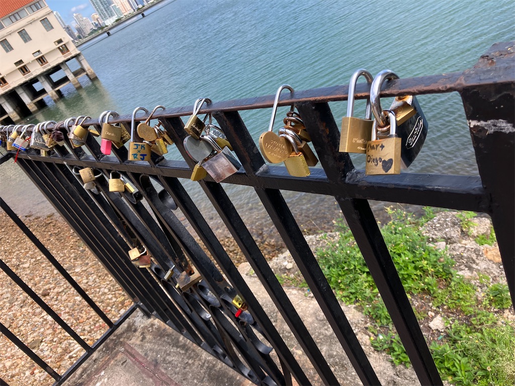 f:id:shirat0ri:20240212075347j:image f:id:shirat0ri:20240212075347j:image