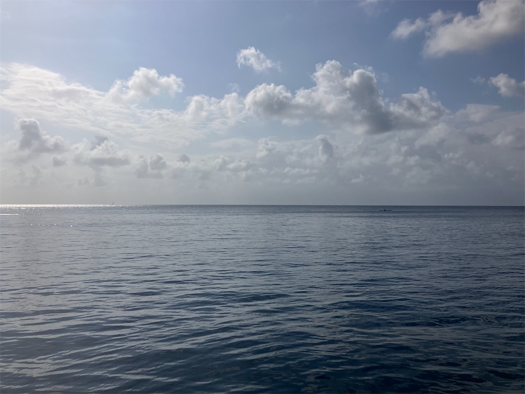 f:id:shirat0ri:20240218061320j:image f:id:shirat0ri:20240218061320j:image