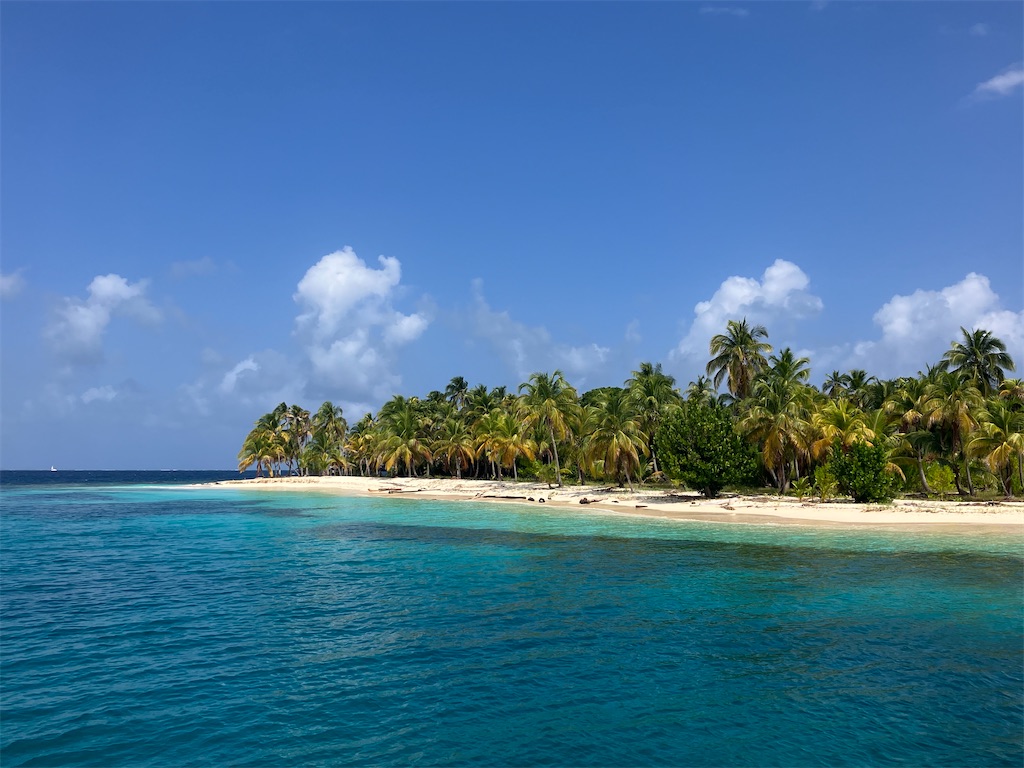 f:id:shirat0ri:20240218061329j:image f:id:shirat0ri:20240218061329j:image