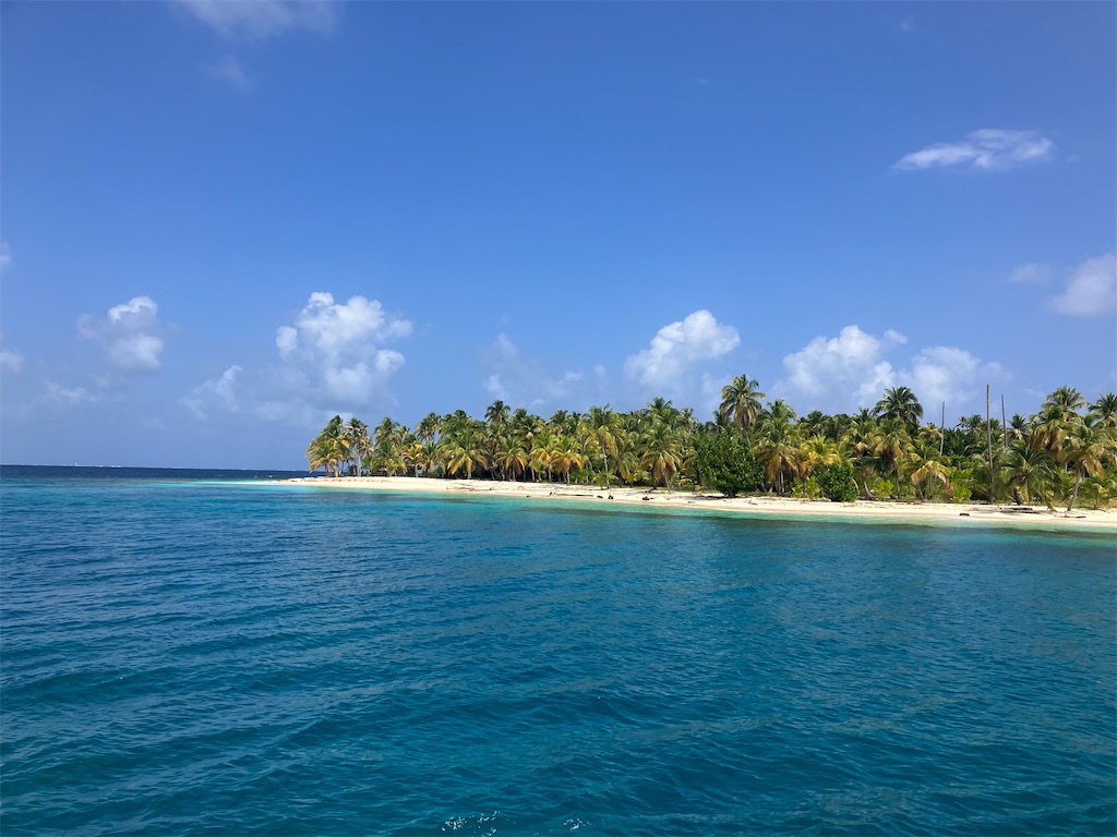 f:id:shirat0ri:20240218061332j:image f:id:shirat0ri:20240218061332j:image