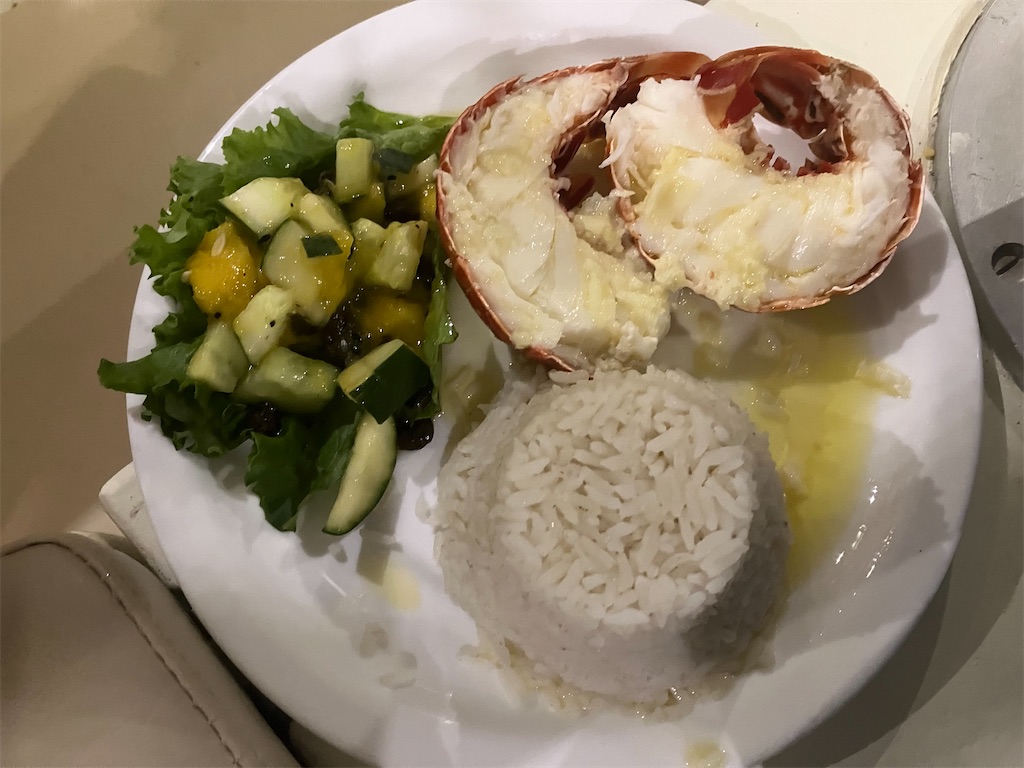 f:id:shirat0ri:20240218061502j:image f:id:shirat0ri:20240218061502j:image