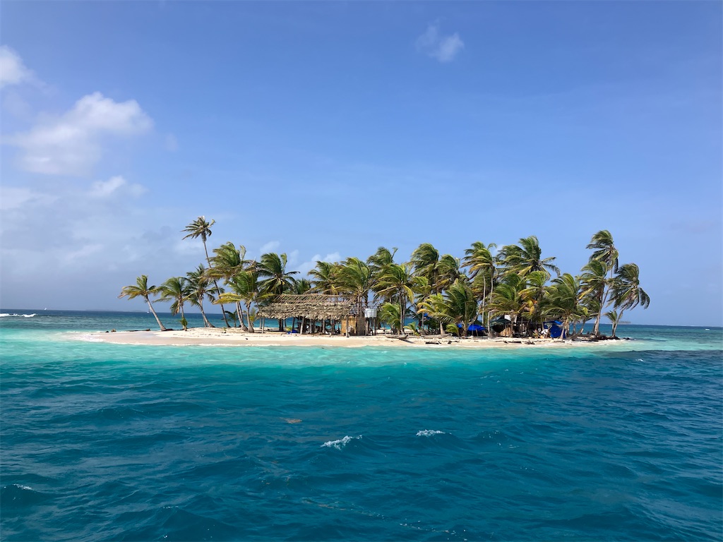 f:id:shirat0ri:20240218063436j:image f:id:shirat0ri:20240218063436j:image