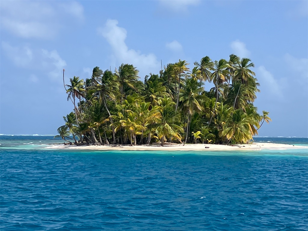 f:id:shirat0ri:20240218063604j:image f:id:shirat0ri:20240218063604j:image