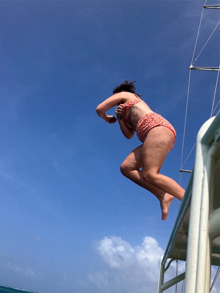 f:id:shirat0ri:20240218063616j:image f:id:shirat0ri:20240218063616j:image