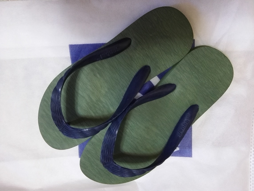 f:id:shiratamachang:20181030111140j:plain