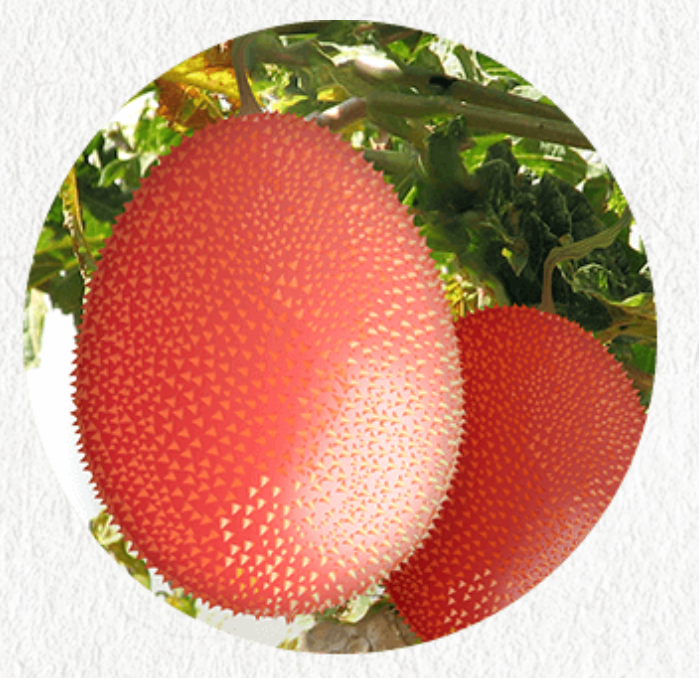 f:id:shiratamachang:20190603232028p:plain