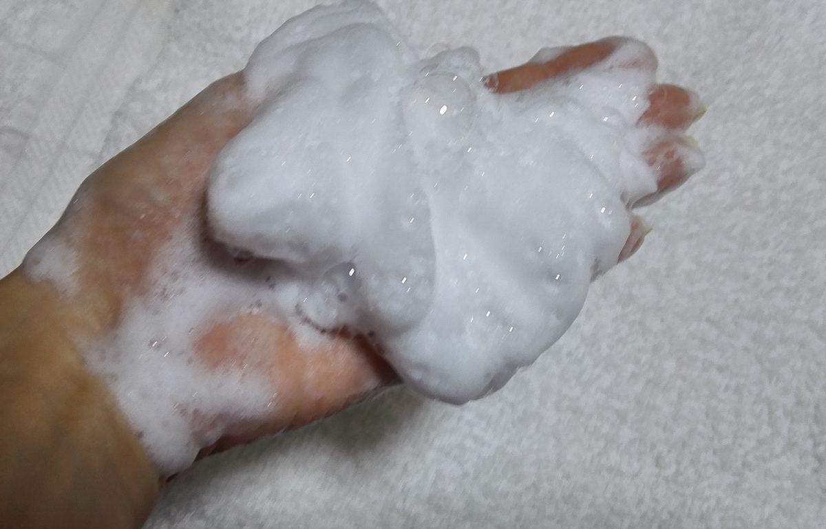 f:id:shiratamachang:20190823232041j:plain f:id:shiratamachang:20190823232041j:plain