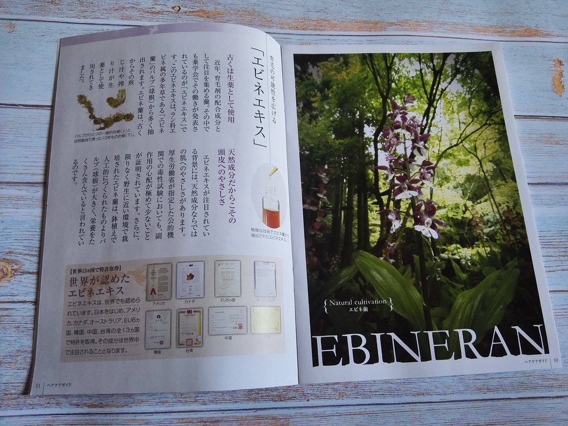 f:id:shiratamachang:20190916212434j:plain