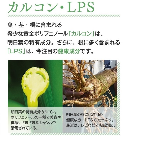 f:id:shiratamachang:20190921210642j:plain f:id:shiratamachang:20190921210642j:plain