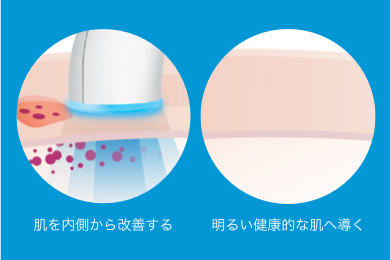 f:id:shiratamachang:20200518173229j:plain