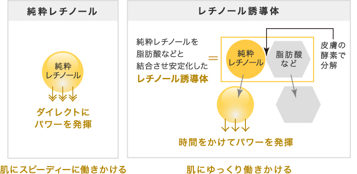 f:id:shiratamachang:20210111134427j:plain