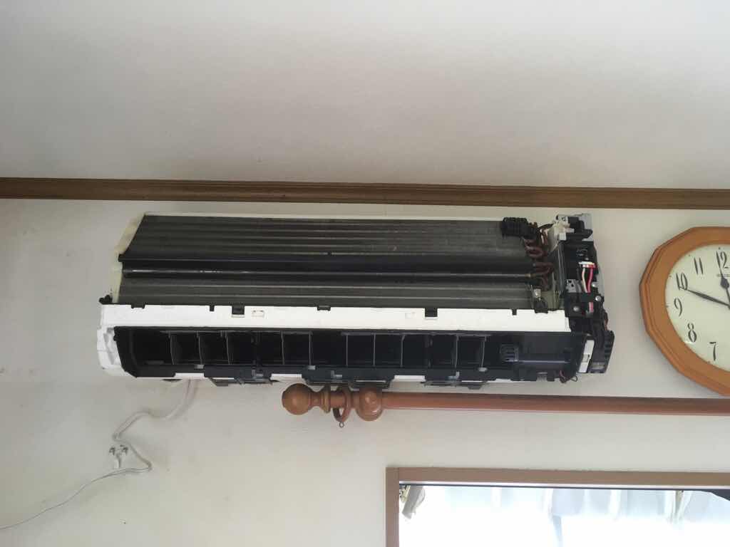 f:id:shiratamaotama:20190614215424j:plain f:id:shiratamaotama:20190614215424j:plain