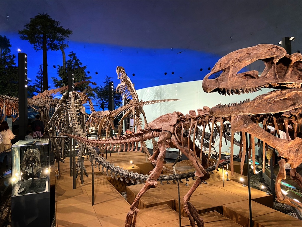 f:id:shiratamaotama:20220506174616j:image